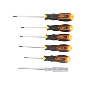 Spärrskruvmejsel Torx 6 Delar